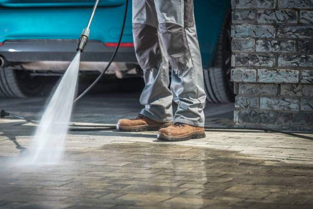 Best Fleet Vehicle Washing  in Roanoke, IL
