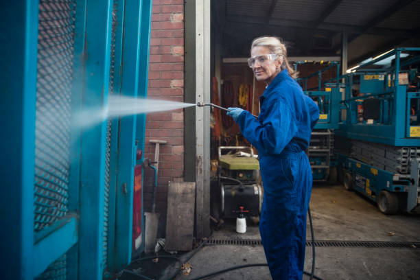 Best Pre-Holiday Cleaning  in Roanoke, IL