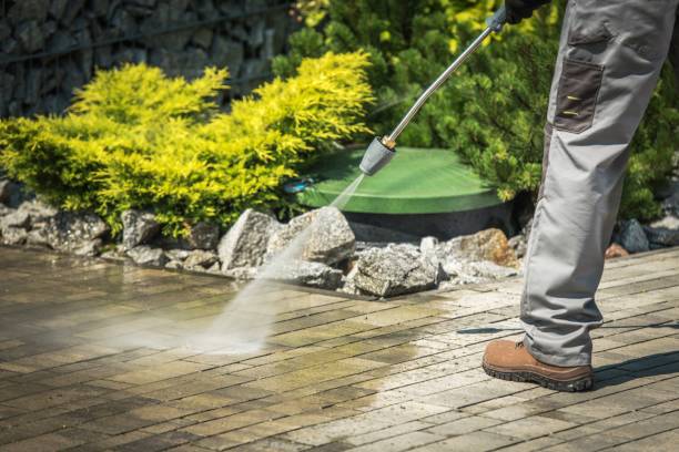 Best Fence Cleaning  in Roanoke, IL