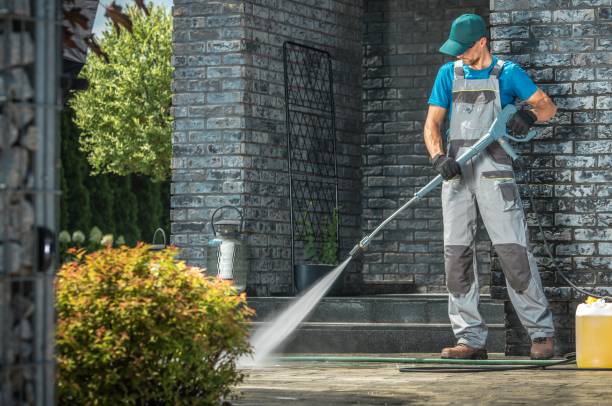 Best Building Exterior Washing  in Roanoke, IL