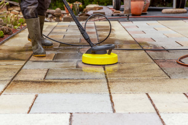 Best Sidewalk and Walkway Cleaning  in Roanoke, IL