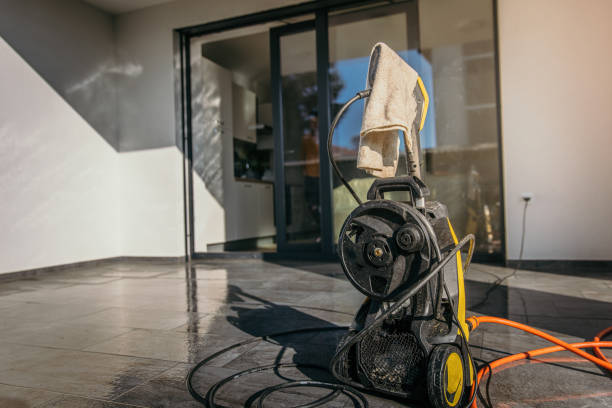 Best Animal Enclosure Cleaning  in Roanoke, IL
